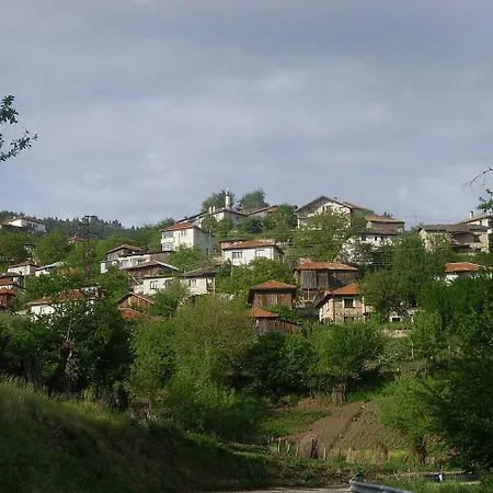 Feriehus -тони Beden